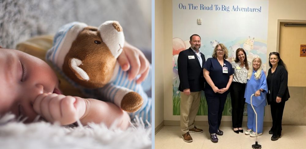 The Teddy Bear Effect